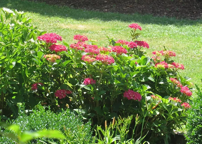 Appartementhaus Silvia Apartment *